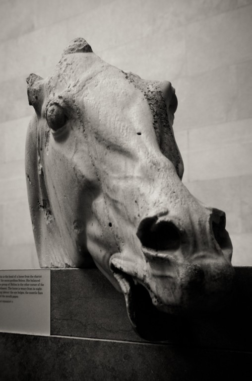 black and white, british museum, london, parthenon sculptures